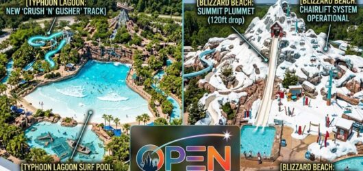 Aerial view showing operational status updates for Disney's Typhoon Lagoon and Blizzard Beach water parks.
