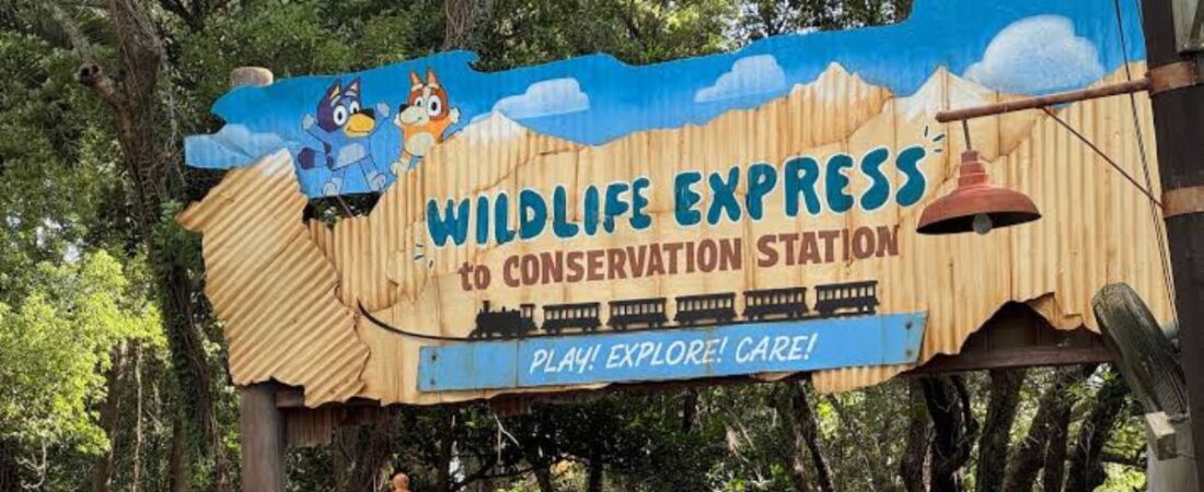 Bluey’s Wild World Takeover: The Logistics Behind Animal Kingdom’s Newest Draw