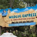 bluey conservation station Entrance