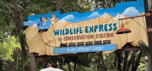 bluey conservation station Entrance