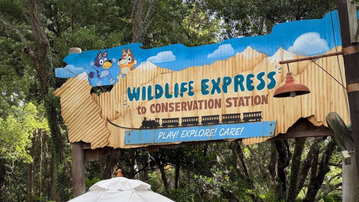 Bluey’s Wild World Takeover: The Logistics Behind Animal Kingdom’s Newest Draw