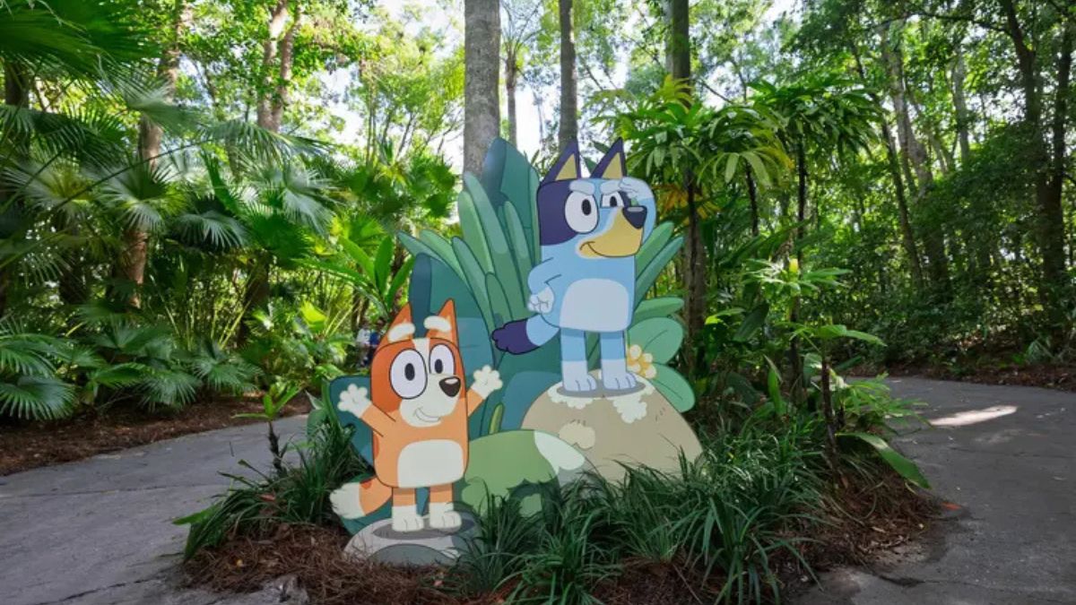Entrance to Bluey's Wild World at Conservation Station