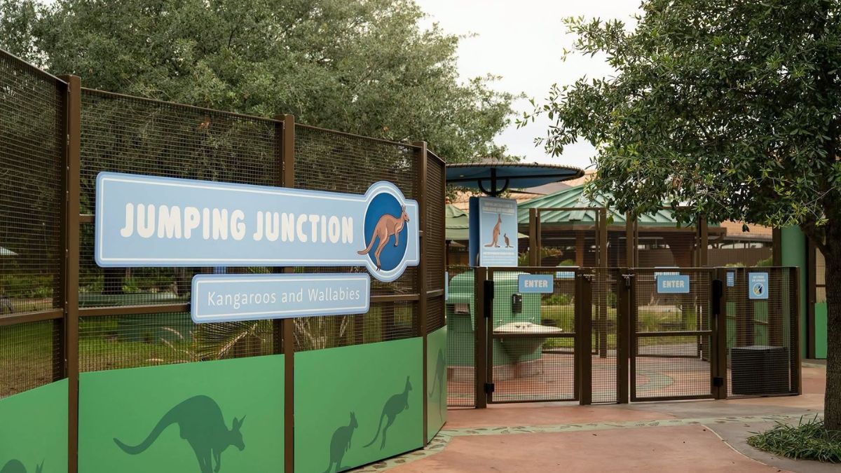 Signage for Jumping Junction at Disney's Animal Kingdom