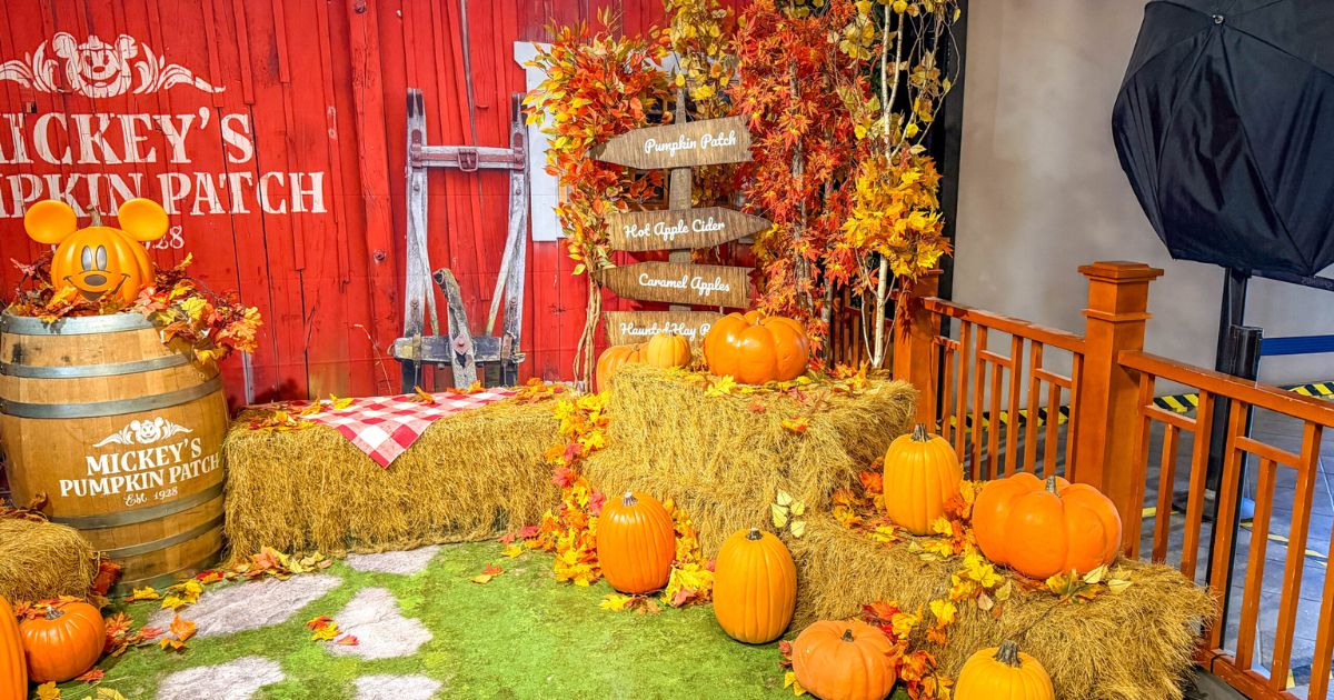 New Fall Photo Pass backdrop at Disney Springs