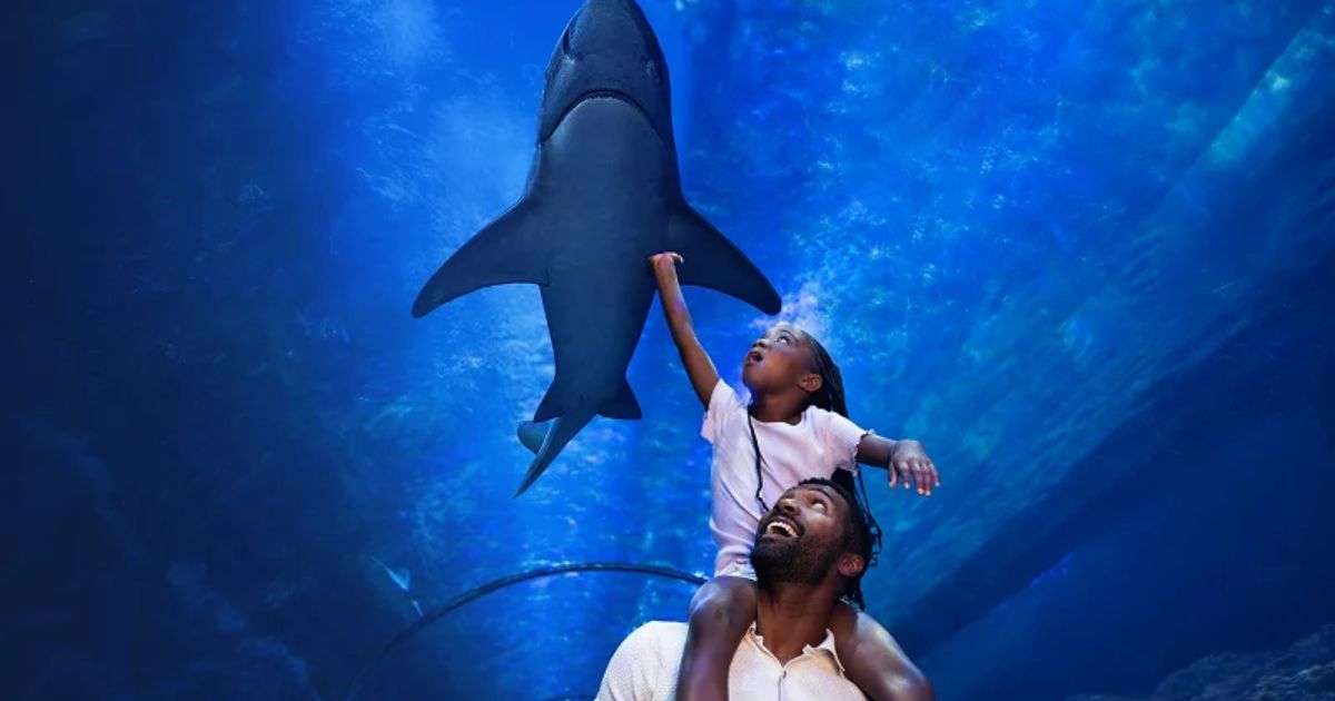 SeaWorld Passport to Summer rewards promotion graphic