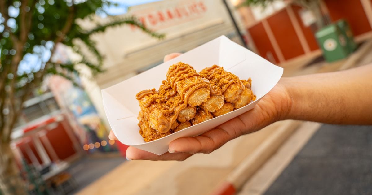 Golden fried mini churro bites drenched in melted speculoos cookie butter drizzle and topped with crushed spiced cookies