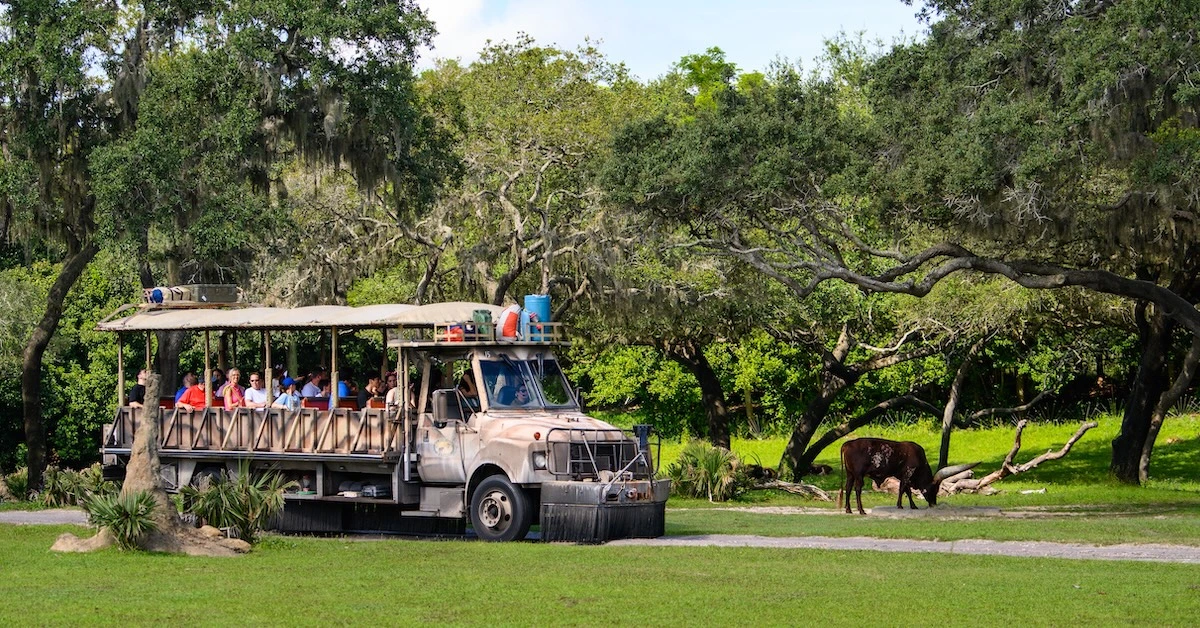 A Kilimanjaro Safaris vehicle travels the dirt track through the Harambe Wildlife Reserve at Disney's Animal Kingdom