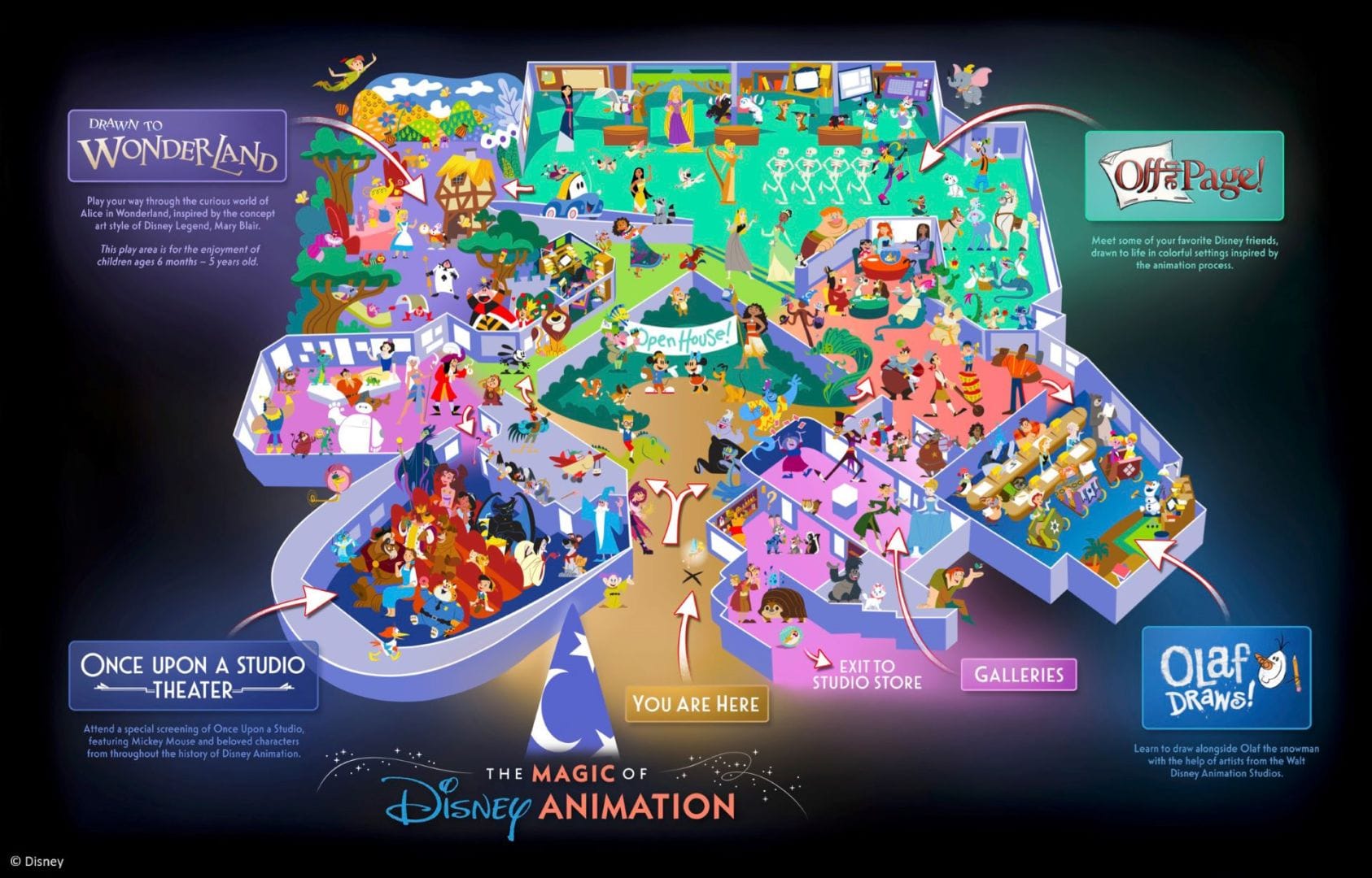 Illustrated floor map of The Magic of Disney Animation at Disney's Hollywood Studios highlighting Drawn to Wonderland, Off the Page, Olaf Draws, and Once Upon A Studio Theater