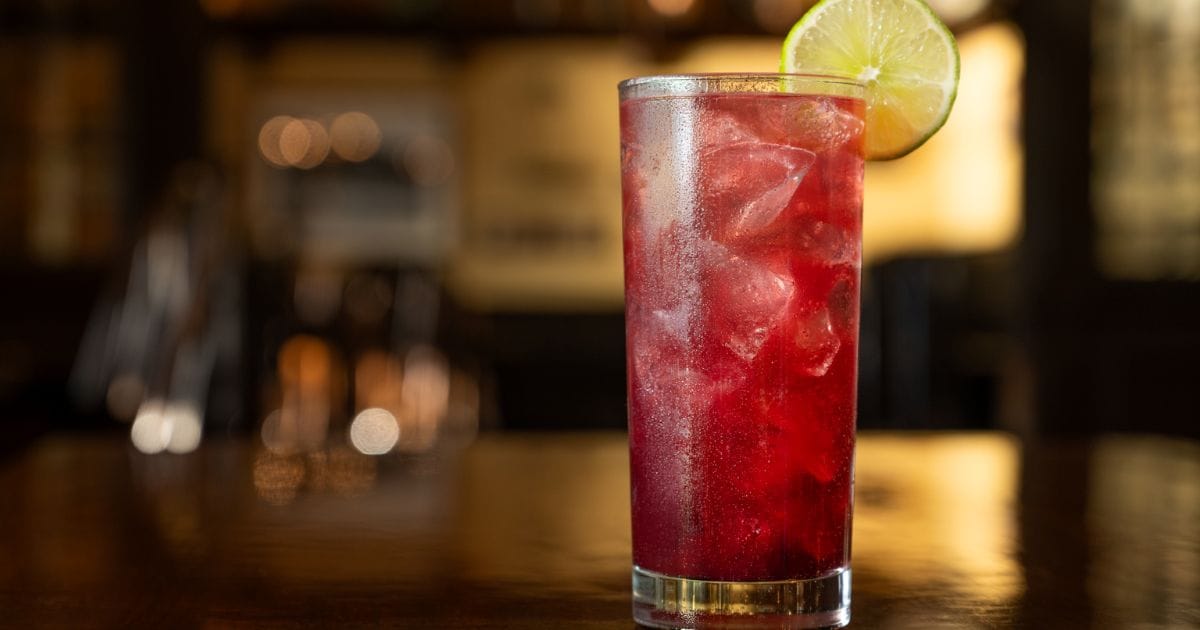 Refreshing berry-infused spritzer cocktail featuring sparkling bubbles, rich berry flavors, and a citrus lime wheel accent