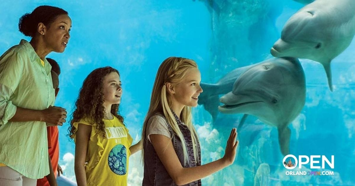 SeaWorld Florida Teacher Card 2026: Registration Data and Ticket Pricing