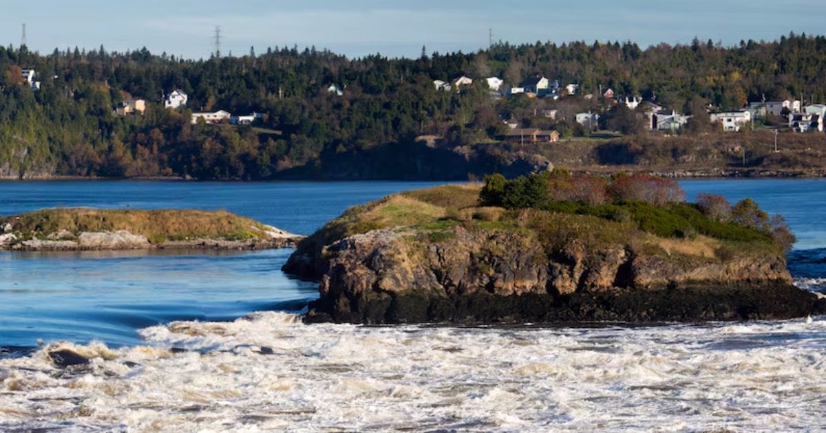 Disney Wish 5-Night Canada & New England Cruise 2027 Booking Guide 5 Scenic coastal landscape of Saint John, New Brunswick, showcasing the famous tidal phenomenon of the Reversing Falls rapids with autumn foliage and hillside homes along the Bay of Fundy