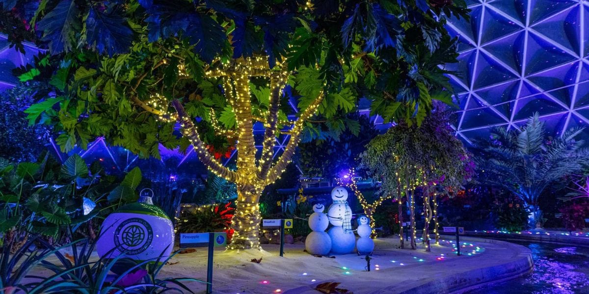 Sand snowman family display surrounded by fairy lights and an oversized ornament along the Living with the Land boat route at night.