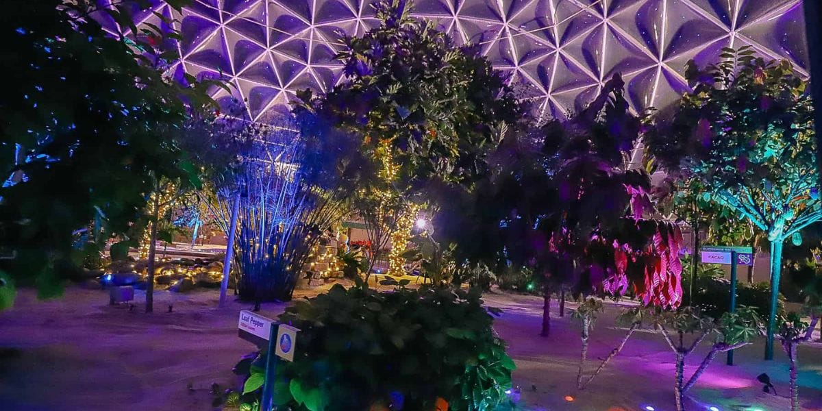 Tropical greenhouse plants illuminated by purple, green, and gold holiday lights beneath the geodesic dome at EPCOT.