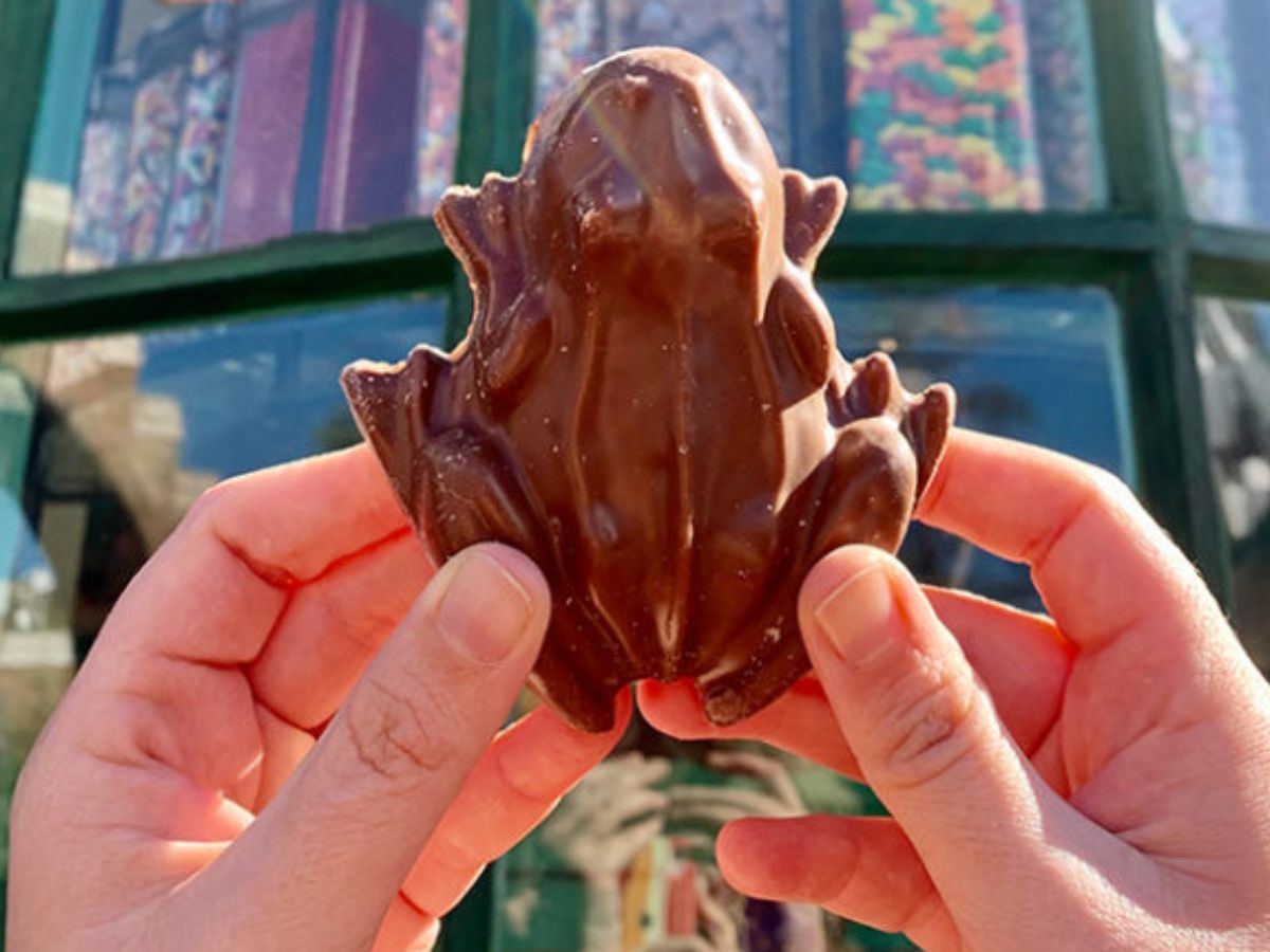 A solid chocolate frog and peppermint toad candies from Honeydukes