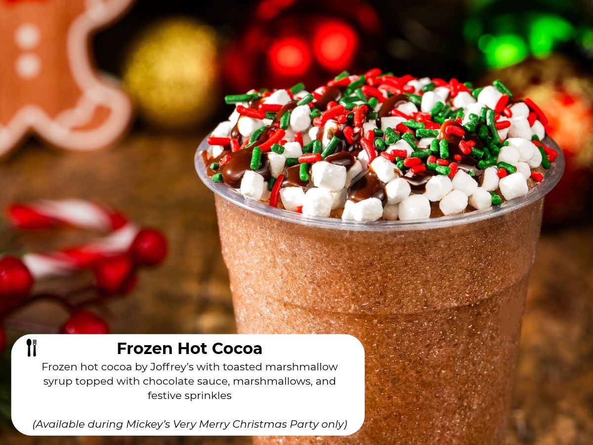 Frozen Hot Cocoa with toasted marshmallow syrup