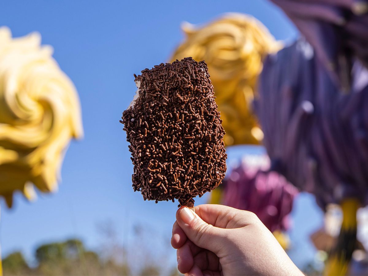 A chocolate dipped ice cream bar from Hop on Pop Ice Cream Shop